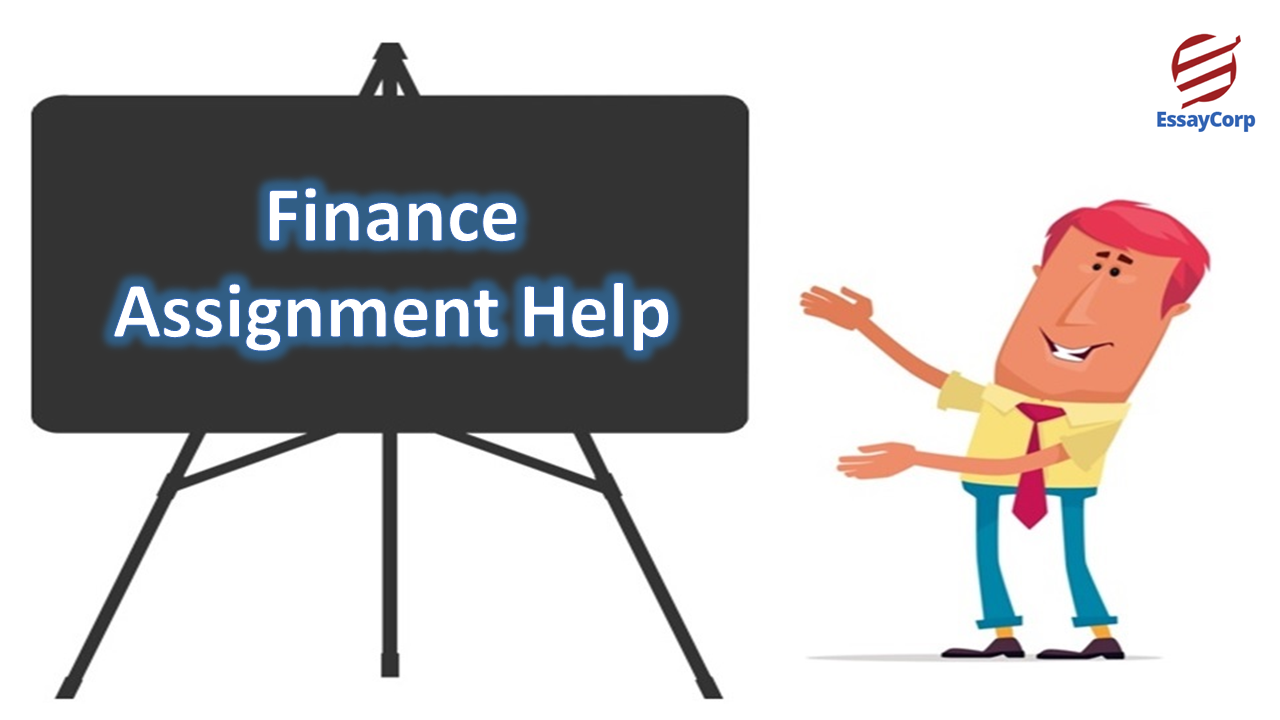 finance assignment help usa